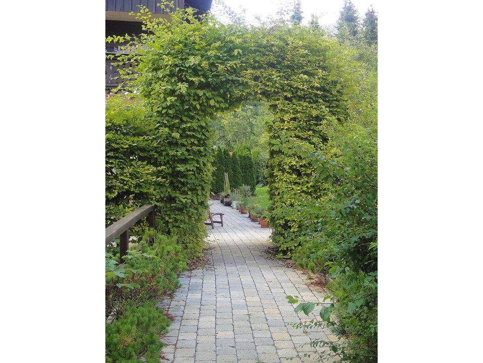 DSC02515